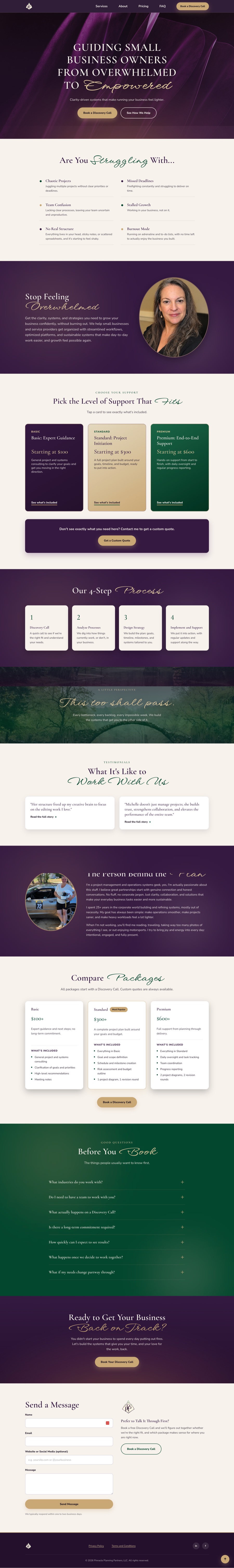 Pinnacle Planning Partners website preview